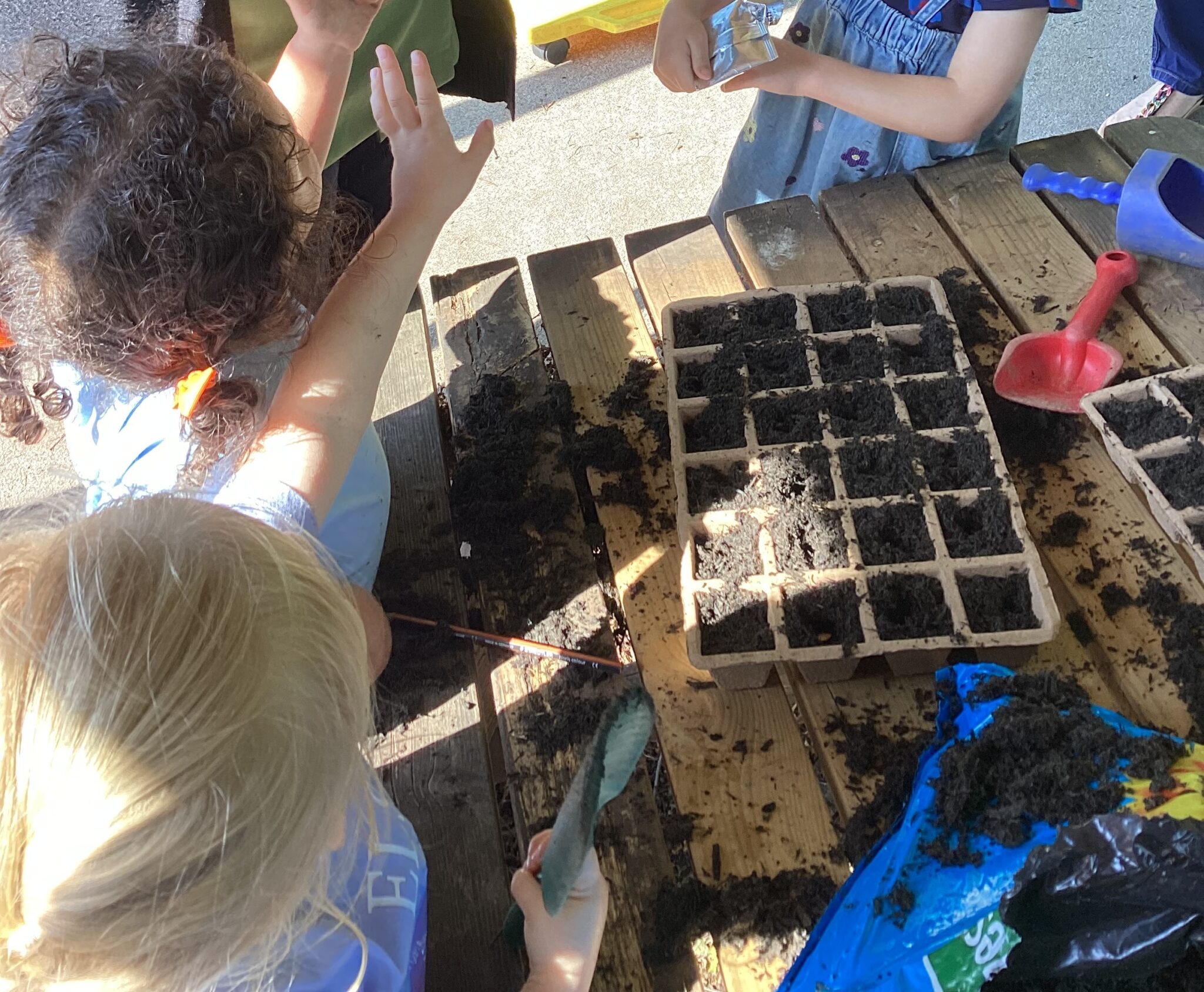 children planting pumpkin seeds