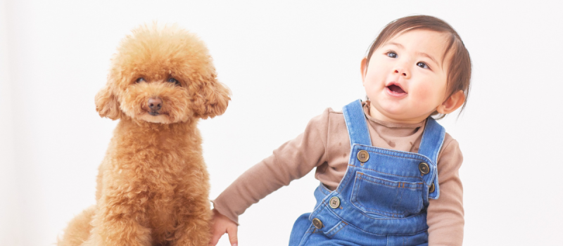 The-Power-of-Language-Modelling-Simple-Ways-to-Boost-Your-Child’s-Speech-2